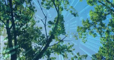 Çevresel veriler için ağaç dallarını tarayan ve holografik ağ oluşturan teknoloji. Doğa, fütüristik, yenilik, dijital, ekoloji, arayüz, bağlantı