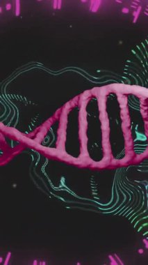 Veri yükleme ışıklarının üzerinde dönen kırmızı DNA ipliği. Bilim, teknoloji, genetik, biyoloji, tıbbi araştırma ve sağlık hizmetleri, dijital olarak üretilen video.