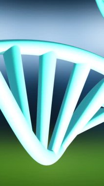 Mavi ve yeşil arka planda DNA iplikçiklerinin animasyonu. Küresel bilim, teknoloji, hesaplama ve dijital arayüz kavramı dijital olarak oluşturulmuş video.