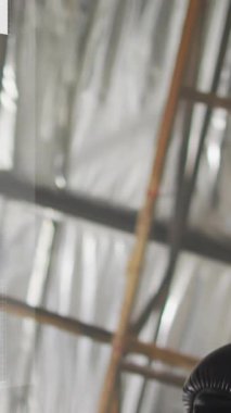 Çeşitli kadın boksör ve erkek eğitmen üzerinde finansal veri işleme animasyonu. Küresel hesaplama, finans, spor, iletişim ve dijital arayüz kavramı dijital olarak oluşturulmuş video.