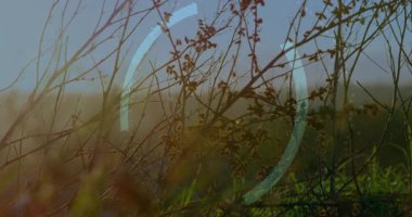 Çimenlerin arasından süzülen güneş patlaması dijital arayüzü aktif hale getiriyor genişleyen halkalar parmak izlerini tarıyor. Fütürist, teknoloji, arayüz, biyometrik, dijital, holografik, doğal