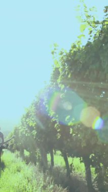 Yeni yıl animasyonları selamlar ve şehir manzarasında parlayan peri ışıkları. Noel geleneği ve kutlama konsepti dijital olarak oluşturulmuş video.