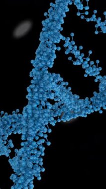 Mavi DNA ipliğinin animasyonu, insan beyni ve vücudu bilimsel veri işleme ile. Küresel tıp, bilim, araştırma ve veri işleme kavramı dijital olarak oluşturulmuş video.