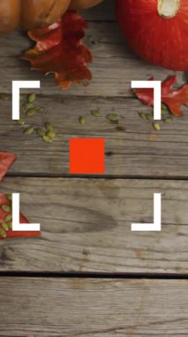 Balkabakları ve sonbahar yaprakları ahşap arka planda odaklanma animasyonuyla. Sonbahar, hasat, yeşillik, kırsal, mevsimlik, süslemeler