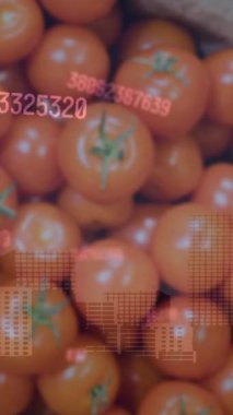 Markette finansal veri işleme animasyonu. Küresel iş, finans, hesaplama ve veri işleme kavramı dijital olarak oluşturulmuş video.