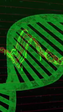 Siyah arkaplandaki veri işleme dizisinin üzerindeki zikzak çizgilerinin animasyonu. Global, dijital arayüz ve teknoloji konseptini dijital olarak oluşturulmuş video şirketlerini finanse eder.