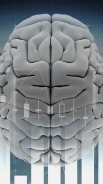 İnsan beyninin ve sunucu odası arkaplanının üst görünümü ve çubuk grafiğinin sürekli görünümü.