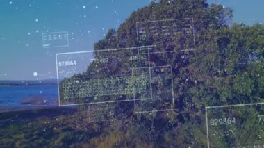 Noktalar çalı üzerinde kaydırma panelleri başlatıyor. Kıyı şeridini gösteren numaraları güncelliyor. Peyzaj, dijital arayüz, doğa, teknoloji, sükunet, gelecekçilik, dinginlik