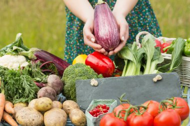 Çiftçilere piyasa kopya alanı ile sebze