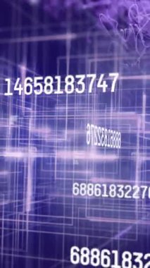 Mor ışık yollarının patlaması sonucu değişen ve işlenen sayıların animasyonu. küresel bağlantı ve iletişim rengi ve hareket konsepti dijital olarak oluşturuldu.