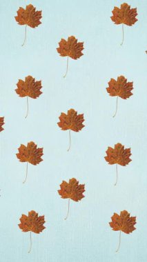 Mavi arka planda sonbahar portakal yapraklarının animasyonu. sonbahar, sonbahar, sezon, doğa, desen ve renk konsepti dijital olarak oluşturulmuş video.