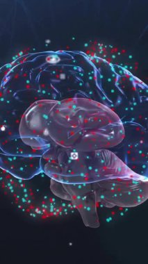 Dijital beyin üzerinde dönen kırmızı ve beyaz noktaların animasyonu. İş, teknoloji ve dijital arayüz kavramı dijital olarak oluşturuldu.