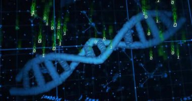 2 saniyelik ikili kod yağmurunda, 3 boyutlu DNA sarmalı dönüyor, düğümler soluyor, genetik verileri görselleştiriyor. Biyoteknoloji, bilim, yenilik, fütüristik, moleküler, veri görselleştirme, dijital