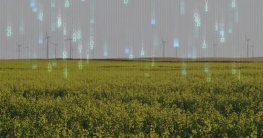 Çift haneli rakamlar ortaya çıkıyor, sonra çiçek açan alan ve türbinlerin üzerine düşüyor, izleme verileri yayılıyor. Teknoloji, yenilenebilir enerji, veri görselleştirme, dijital sanat, sürdürülebilirlik, çevre dostu, fütüristik