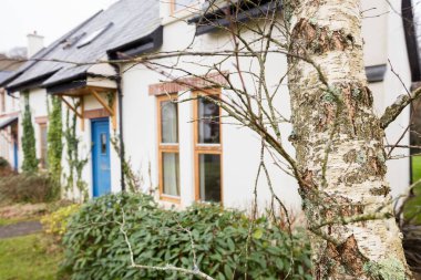 Güneşli bir günde evin dışındaki ağaçların yanında bitkiler.