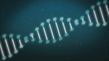 Görünüşte 3 boyutlu DNA sarmalı saat yönünde dönerek 3 boyutlu derinliği gösteriyor. Moleküler, geleceksel, dinamik, bilimsel, yenilik, teknoloji, soyut