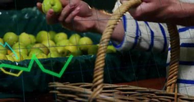 Şebeke ve grafikler verileri incelerken, erkek müşteri yeşil elma toplayarak sandığa uzanıyor. Taze ürün, pazar, tarım, sağlıklı beslenme, sürdürülebilirlik, organik, ticaret