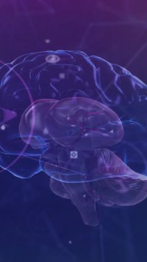 Ağ üzerinden veri işleme ve beyin animasyonu ve karanlık arka planda medya simgeleri. Veri, bilim, sağlık, dijital arayüz, bağlantı, araştırma ve iletişim, dijital olarak oluşturulmuş video.