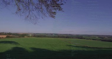 Saydam kod çizgilerinin fırlatılmasında yeşil otlakta beliren ve kaydıran veri katmanı görülüyor. Doğa, manzara, dinginlik, teknoloji, dijital, uyum, açık hava