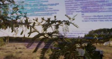 Sallanan yapraklı dalda beliren soluk kod, kamera verileri gösteren aracı sağa kaydırıyor. Doğa, teknoloji, kırsal, açık hava, manzara, manzara, yenilik