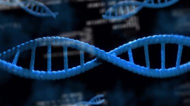 Mavi DNA sarmalları kod arka planında beliriyor, dönüyor, sürükleniyor ve veri akışını görselleştiriyor. Fütürist, bilimsel, soyut, teknolojik, dijital, yenilik, moleküler