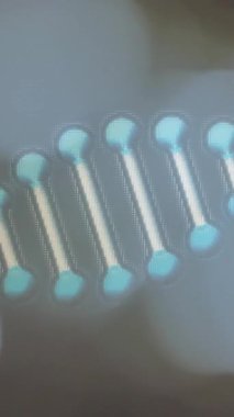 Arka planda bulanık ışık üzerindeki DNA ipliği animasyonu. Genetik, biyoloji, moleküler, bilim, araştırma, çift sarmal