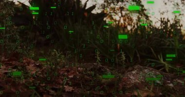 Alacakaranlık yeşili ikili rakamlar orman çalılıkları üzerinde maddeleşiyor ve doğa veri füzyonu olarak yüzüyor. Doğa, dijital, soyut, organik, katmanlı, gelecekçi, ekosistem