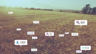 Buğday tarlasında ilerleyen kamera ekin analizlerinin zayıfladığını gösteren veri etiketlerine neden oluyor. Tarım, kırsal, doğa, manzara, dijital, analitik, veri