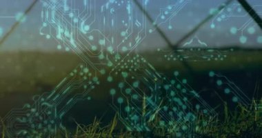 Başlangıçta, çitlerin ve devre hatlarının içinden görünen tarım arazileri veri akışını göstermek için titreşimde kayboluyor. Kırsal, teknoloji, gelecek manzarası, ağ, ızgara, otomasyon, manzara