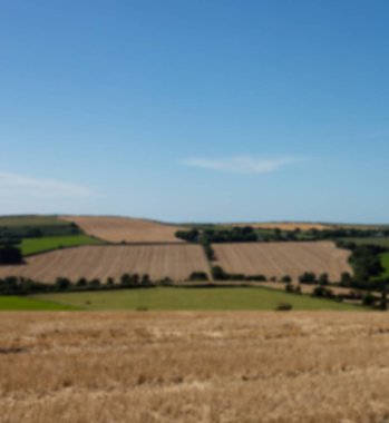 Temiz gökyüzüne karşı tarımsal alanın manzarası