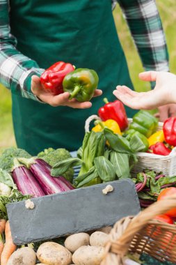 Fotokopi alanı olan taze sebzeler.