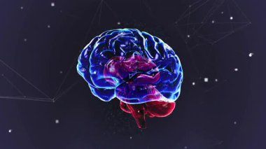 Karanlık ağa karşı ortaya çıkan 3 boyutlu beyin modeli, teknolojik demo için sürüklenen veri düğümleriyle dönüyor. Gelecekçi, yenilikçi, nöral, görselleştirme, teknoloji, dijital, bilim