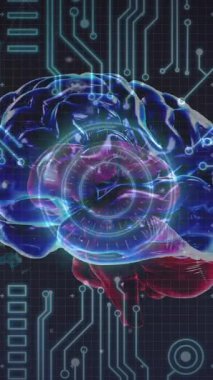 Dünya üzerinde insan beyninin ve devre kartının animasyonu. Küresel bilim, yapay zeka, birleşme, hesaplama ve veri işleme kavramı dijital olarak oluşturulmuş video.