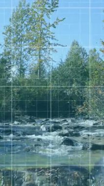 Açık gökyüzüne karşı ormanda birden fazla grafik animasyonu. Dijital bileşik, çoklu pozlama, rapor, finans, iş dünyası, veritabanı, orman, nehir ve doğa kavramı.