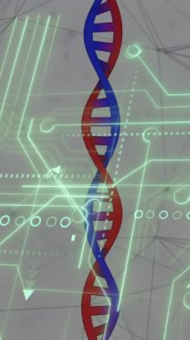 Beyaz zemin üzerinde tıbbi veri işleme ve işlemci soketi animasyonu. Küresel tıp, teknoloji, veri işleme ve dijital arayüz kavramı dijital olarak oluşturulmuş video.