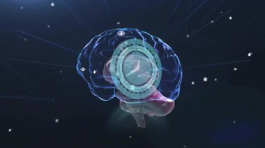 HUD halkaları serebrum alt bölgelerini işaretlerken tıbbi veri beyni ızgarada dönüyor. Nöroloji, sanal gerçeklik, veri analizi, dijital arayüz, fütüristik, beyin teknolojisi, bilimsel görselleştirme