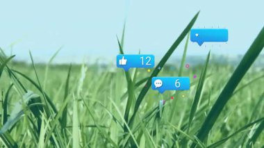 Çim çekimi başlıyor. Alarm baloncukları başlıyor. Nişan artışını gösteren rakamlar güncelleniyor. Doğa, büyüme, dijital, sosyal, etkileşim, canlı, dinamik