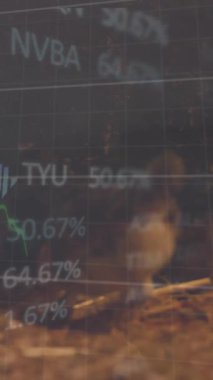 Saman içindeki civcivler üzerinde finansal veri işleme animasyonu. Küresel tarım, iş, bağlantılar, hesaplama ve veri işleme kavramı dijital olarak oluşturulmuş video.