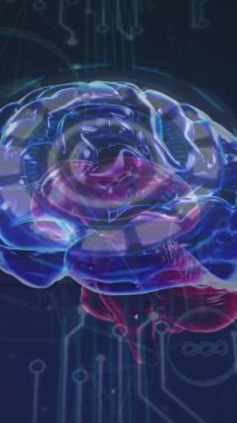 İnsan beyninin mikro işlemci bağlantıları ve dijital ikon ağının üzerinde dönmesi. Bilgisayar arayüzü ve tıbbi araştırma teknolojisi kavramı