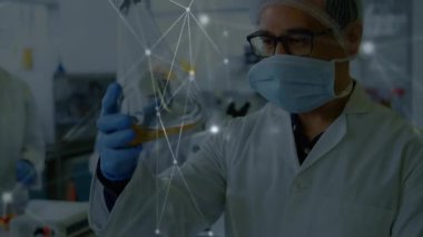 Laboratuvar bilim adamı kehribar şişesi tutuyor, kalite kontrolü yapıyor ve ağ düğümlerinin arasında folyo şişesini karşılaştırıyor. Araştırma, yenilik, deney, kesinlik, modern, işbirliği, analitik