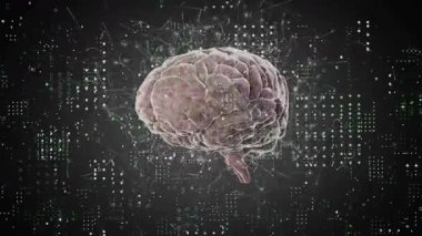 Ön beyin başlatılıyor, 3 boyutlu model saat yönünde dönüyor ve nabız düğümleri sinirsel bağlantıyı gösteriyor. Nörobilim, veri görselleştirme, bağlantı, dijital ağ, soyut, teknoloji, yenilik