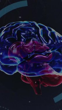 Kapsam taramasında insan beyni ve dijital veri işleme animasyonu. Küresel bilim, yapay zeka, birleşme, hesaplama ve veri işleme kavramı dijital olarak oluşturulmuş video.