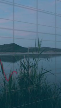 Veri işleme ve manzara üzerindeki diyagramların animasyonu. Küresel iş, doğa ve dijital arayüz kavramı, dijital olarak oluşturulmuş video.