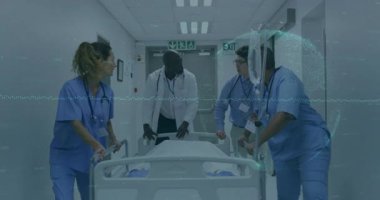 Hastane ekibi, çıkış işaretine göre hastayı sedyeyle taşırken serumu ayarlıyor. Tıbbi personel, işbirliği, klinik, sağlık, takım çalışması, acil durum, hastane ortamı