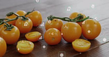 Başlangıçta sarı kiraz domateslerini çevreleyen ikonlar, eko ölçümleri gösteren kamera kaymaları. Tarım, sürdürülebilirlik, çevre, veri, doğa, yenilik, organik