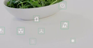 Açılışta roka kasesi enerji simgeleri yüzüyor salatayı sürdürülebilir enerjiye bağlıyor. Çevre, sürdürülebilirlik, çevre dostu, minimalizm, yenilenebilir, yeşil, koruma