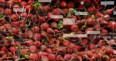 Yakından bakıldığında, kırmızı turpların üzerinde titreşen düğümler, kayan, solan ve analiz edilen paneller. Teknoloji, yenilik, veri görselleştirme, karışık gerçeklik, dijital arayüz, gelecekçilik, analitik