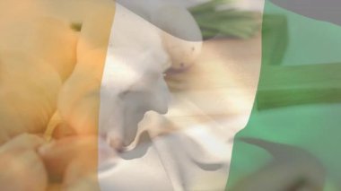 Metal spatula baharatı karıştırmak için üç renkli bayrak altında sarımsak ve otları karıştırıyor. Yemek pişirme, mutfak, mutfak malzemeleri, taze, doğal, kırsal, canlı