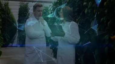 Bilim adamları biber bitkilerini inceliyor ve bitki verilerini görselleştiren holografik bir küre oluşturuyorlar. Botanikçiler, araştırma, yenilik, teknoloji, sürdürülebilirlik, fütüristik, işbirliği