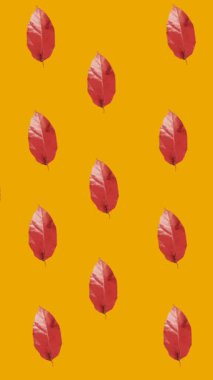 Turuncu arka planda çoklu kırmızı sonbahar yapraklarının animasyonu. mevsimler, sonbahar, sonbahar, renk ve doğa konsepti dijital olarak oluşturulmuş video.